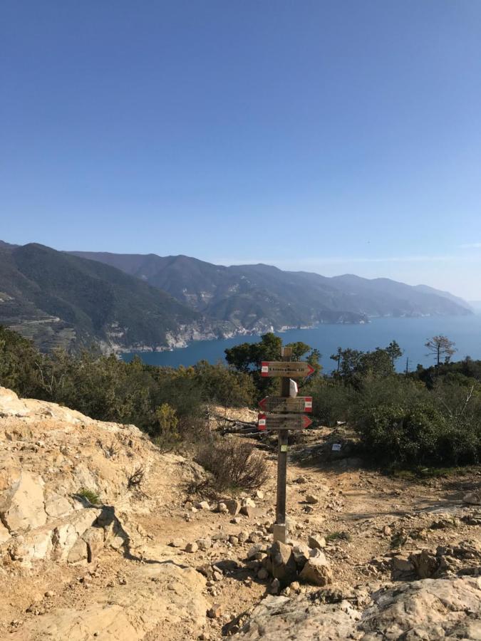 莱万托La Terrazza Del Molino公寓 外观 照片